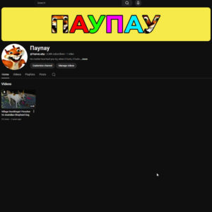 youtube channel 2.6k subscribers